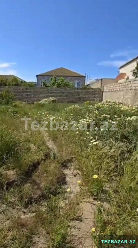 Torpaq satilir — Torpaq, Bakı (3)