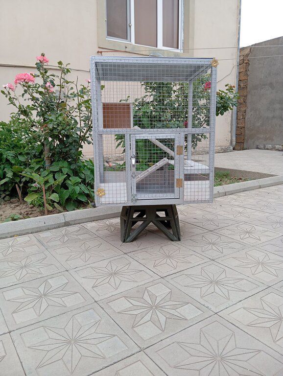 Qəfəs — Heyvan malları, Bakı (2)