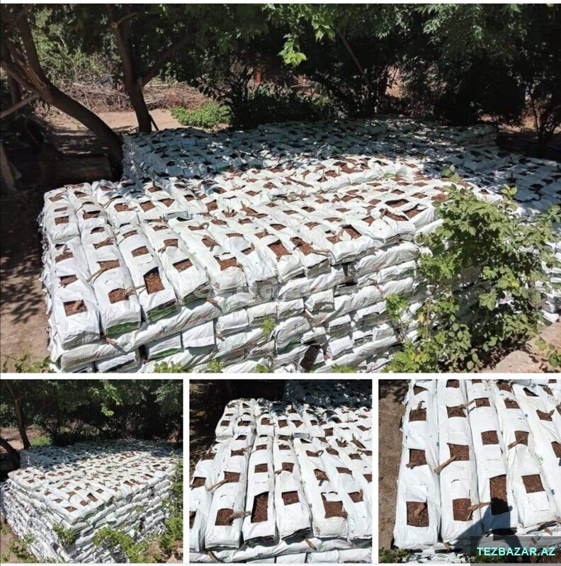 Kakabitlər, Bitkilər üçün — Bitkilər, Bakı