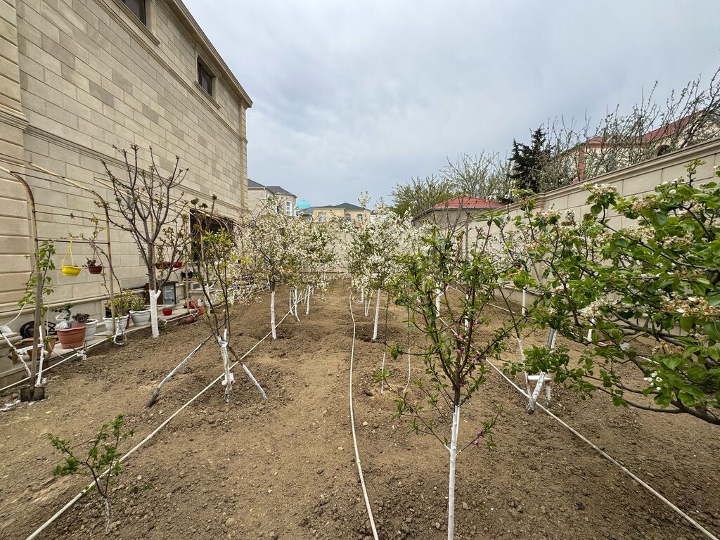 Satılır 9 otaqlı həyət evi/bağ evi 600 m² — Ev, villa, Bakı (2)