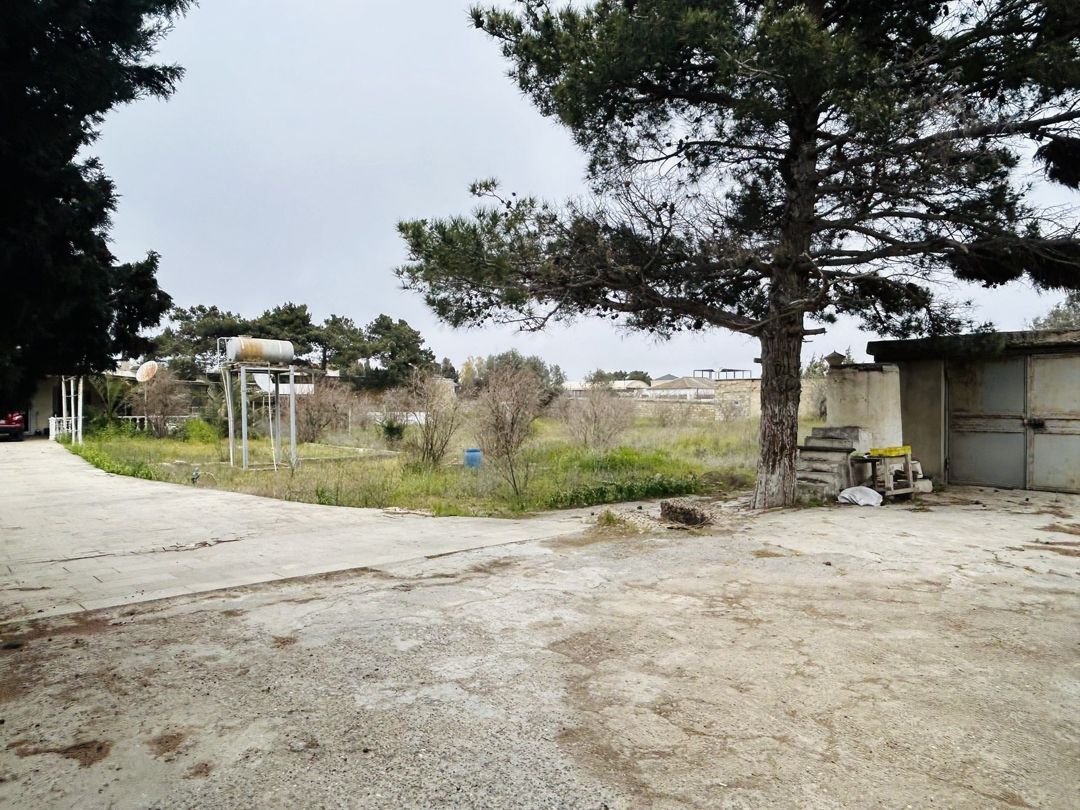 Satılır torpaq 29 sot — Torpaq, Bakı (6)