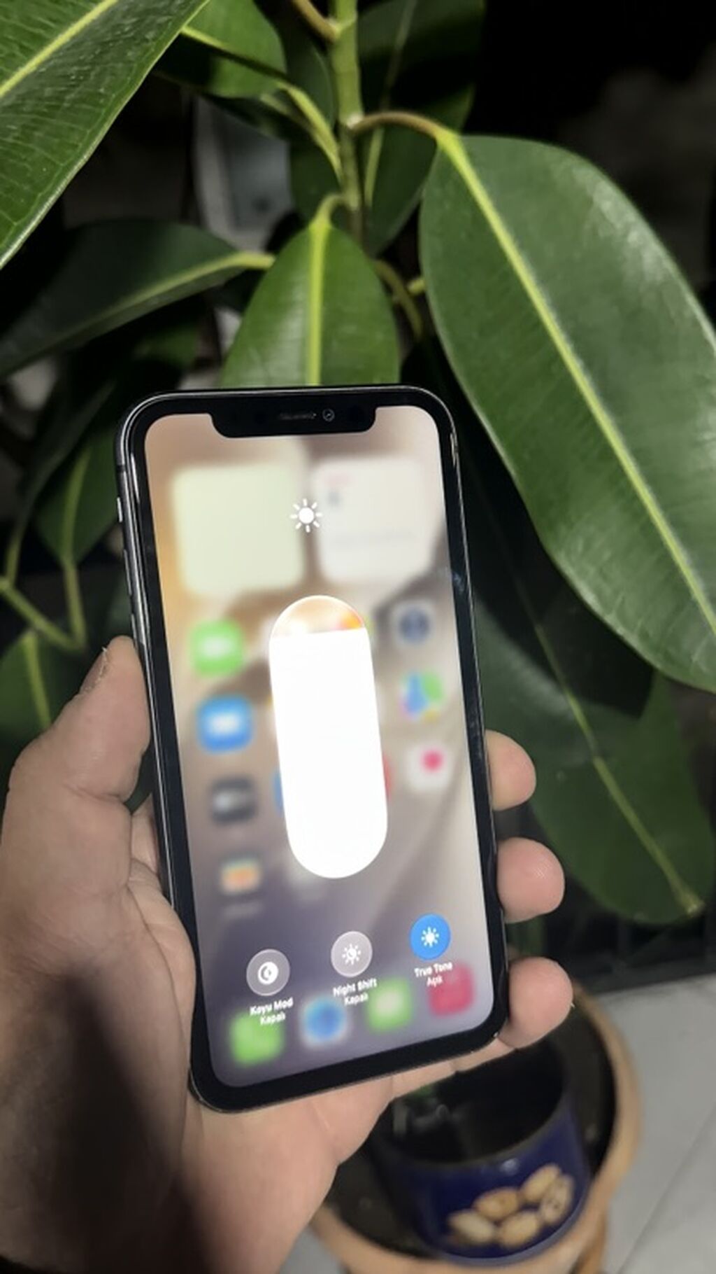 IPhone 11, Qara, Face ID — Apple iPhone, Masazır (3)