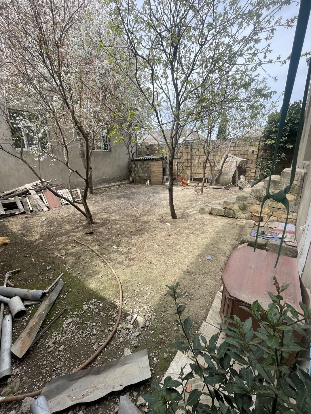 Satılır 4 otaqlı həyət evi/bağ evi 110 m² — Ev, villa, Bakı (12)