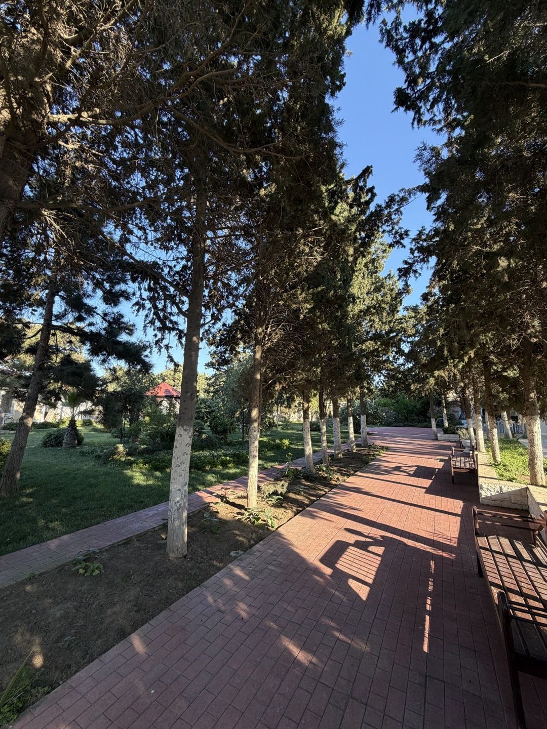 Satılır 5 otaqlı həyət evi/bağ evi 250 m² — Ev, villa, Bakı (11)