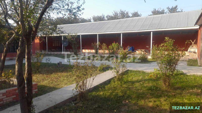 Real alıcılar zeng etsin — Ev, villa, Qəbələ (7)