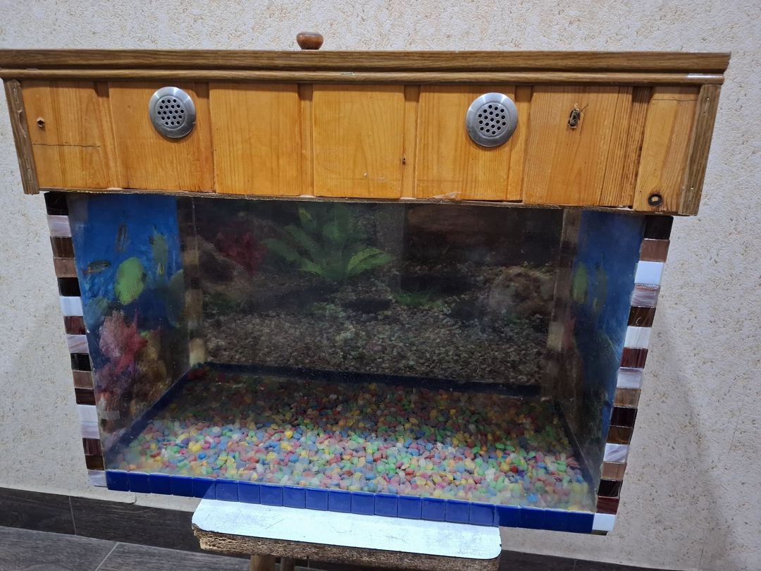 Akvarium — Akvariumlar və balıqlar, Bakı (3)
