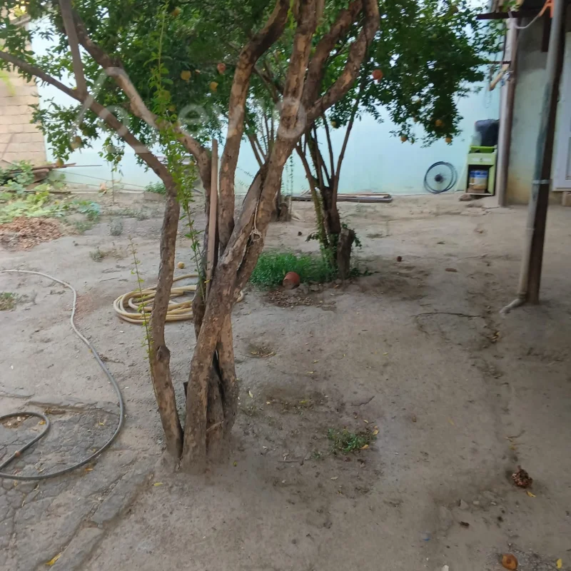 1 otaqlı həyət evi, 55 m², Yahya Hüseynov 33 — kirayə — Ev, villa, Bakı (9)