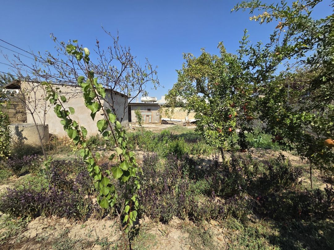 4 sot torpaq sahəsi, Şirvan r — Torpaq, Şirvan (7)