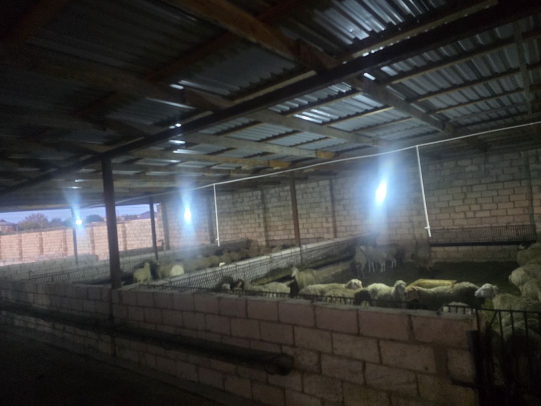 Həyət evi, Ceyranbatan qəs — Ev, villa, Sumqayıt (3)