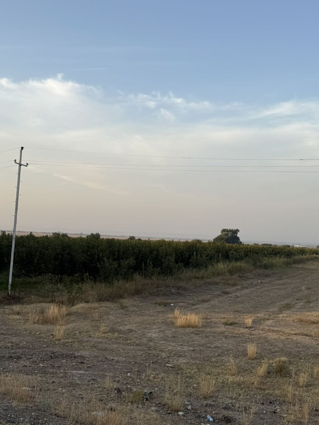 2500 sot, Kənd təsərrüfatı, Mülkiyyətçi, Kupça (Çıxarış) — Torpaq, Şəmkir (2)