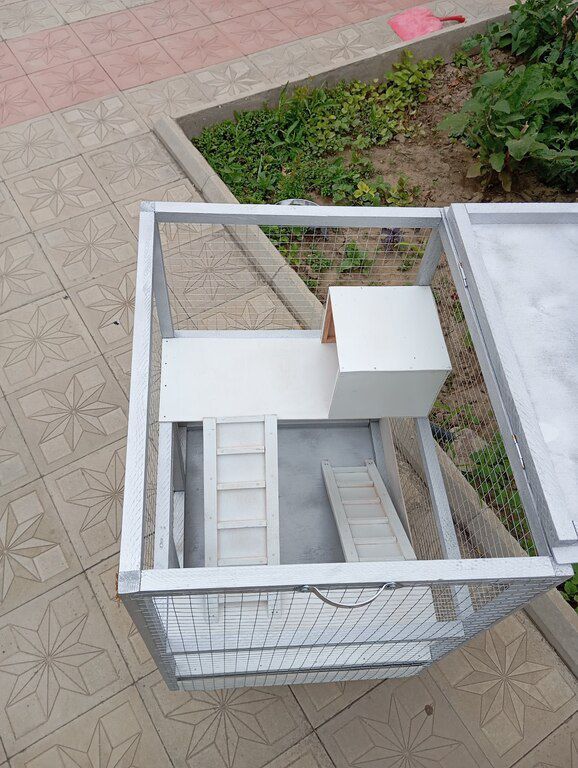 Qəfəs — Heyvan malları, Bakı (9)