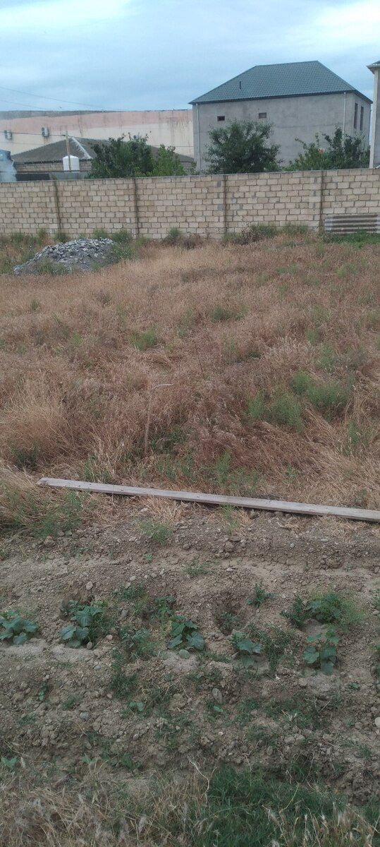 6 sot torpaq sahəsi, Novxanı k — Torpaq, Bakı (5)