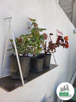 İcarəyə verilir 2 otaqlı 80 m² həyət evi Lənkəran — Ev, villa (10)