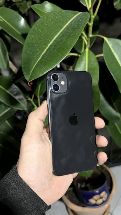IPhone 11, Qara, Face ID — Masazır