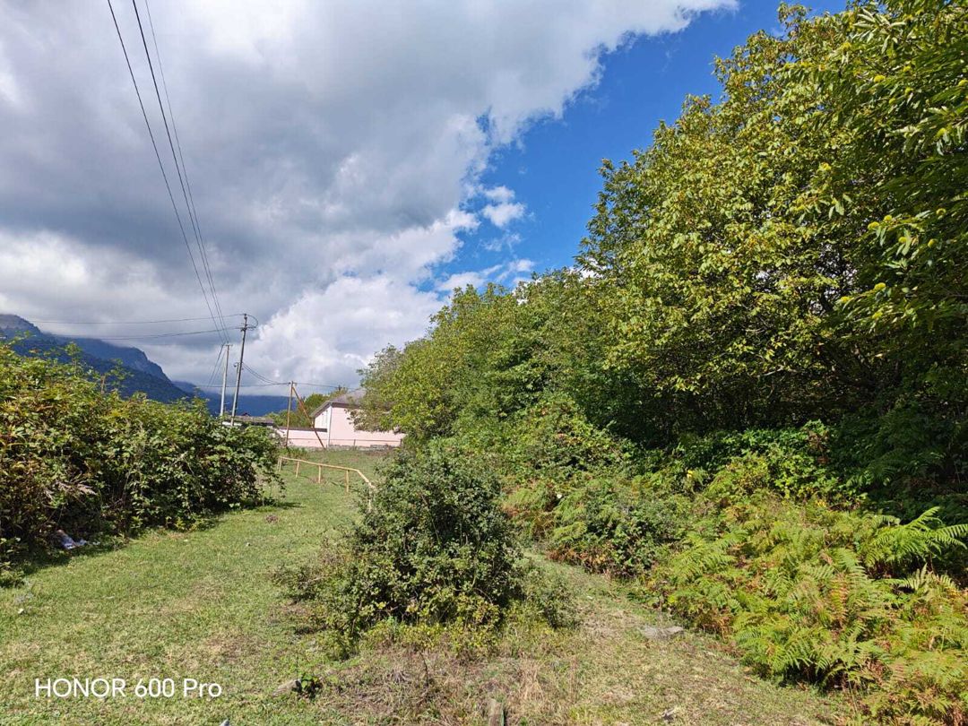 Satılır torpaq 7 sot — Torpaq, Qəbələ (9)