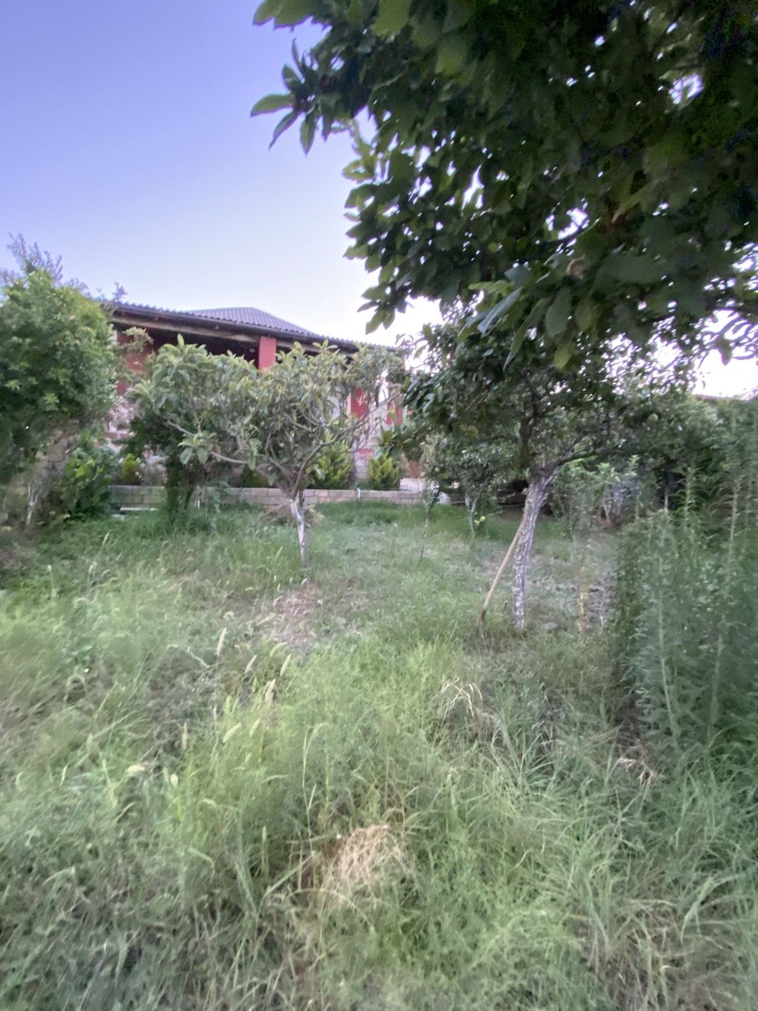 Satılır 3 otaqlı həyət evi/bağ evi 110 m² — Ev, villa, Bakı (12)