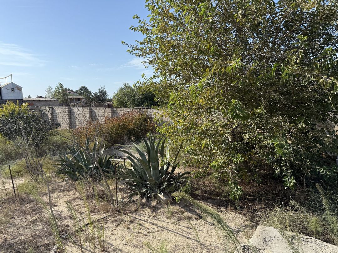 Satılır torpaq 14 sot — Torpaq, Bakı (6)