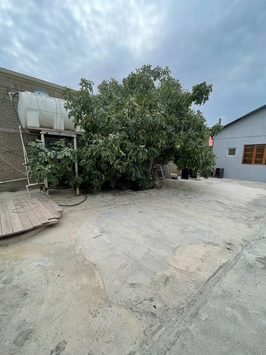 Satılır 3 otaqlı həyət evi/bağ evi 120 m² — Ev, villa, Bakı (11)