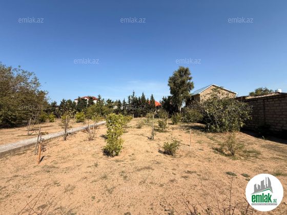 Satılır 11 sot torpaq Mərdəkan — Torpaq (8)