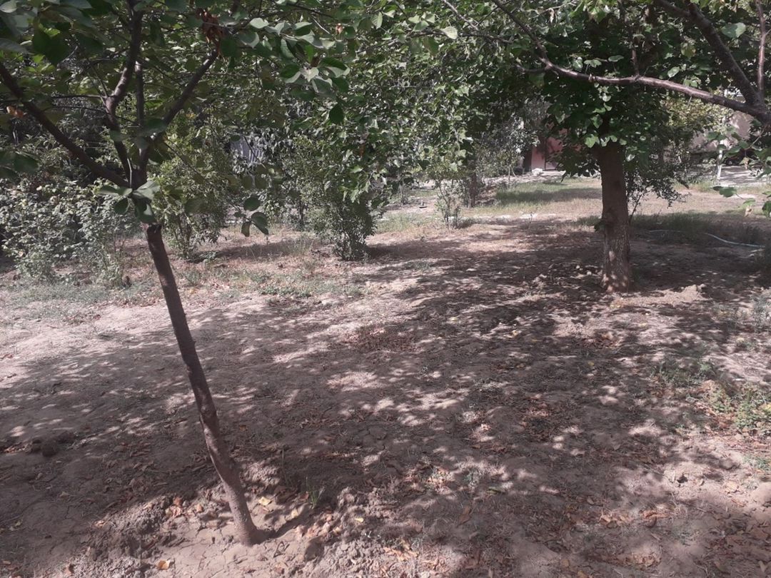 Satılır torpaq 23 sot — Torpaq, Bakı (4)