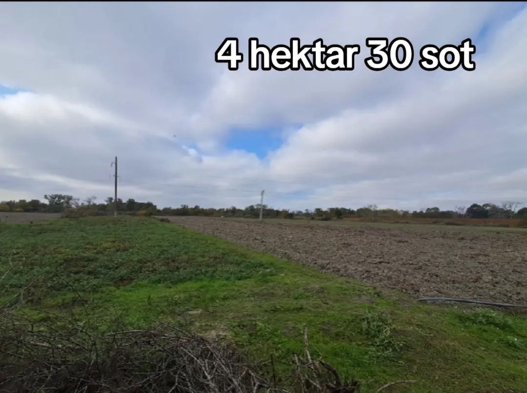 426 sot torpaq sahəsi, Şabran r — Torpaq, Şabran