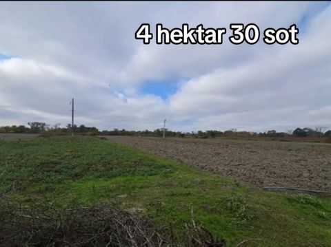 426 sot torpaq sahəsi, Şabran r — Şabran