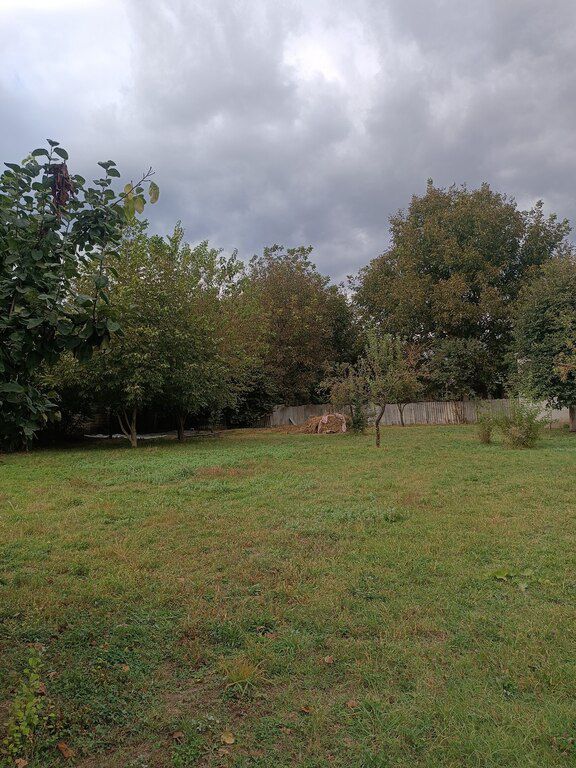 10 sot torpaq sahəsi, İsmayıllı r — Torpaq, İsmayıllı (5)