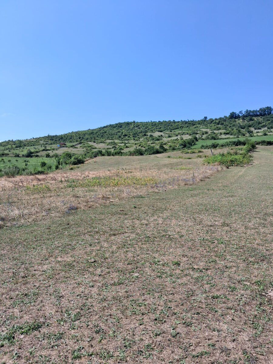 100 sot torpaq sahəsi, Quba ray — Torpaq, Quba (4)