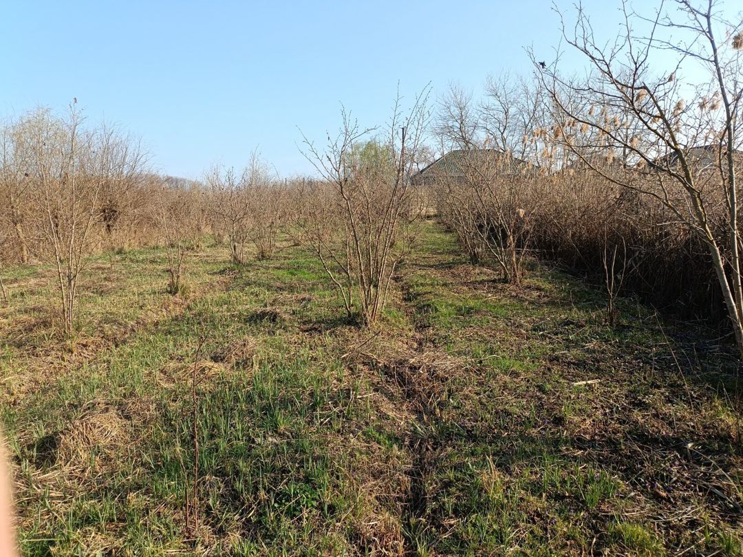 9 sot torpaq sahəsi, Xaçmaz r — Torpaq, Xaçmaz (4)