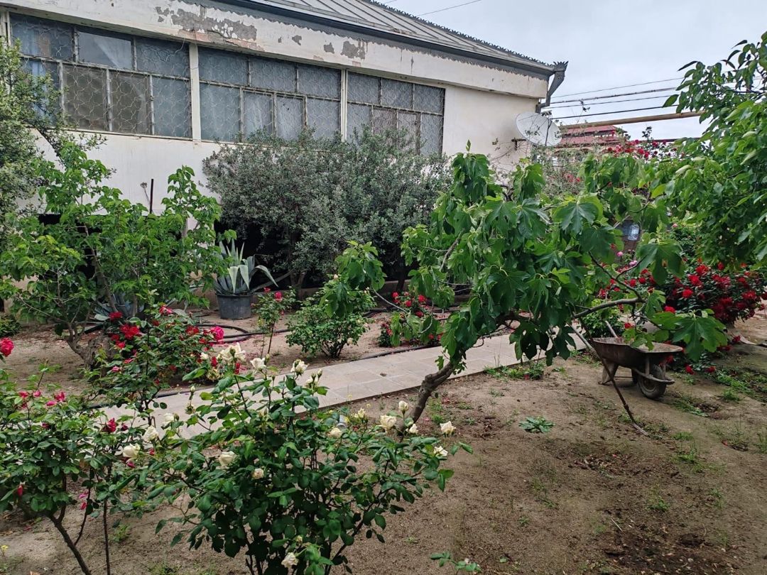 22 sot torpaq sahəsi, Novxanı qəs — Torpaq, Bakı (9)