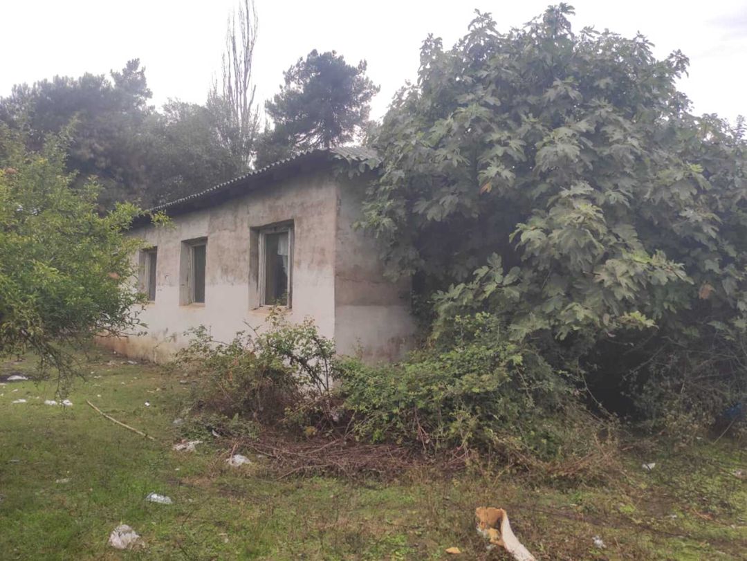 Satılır torpaq 137.9 sot — Torpaq, Masallı (11)