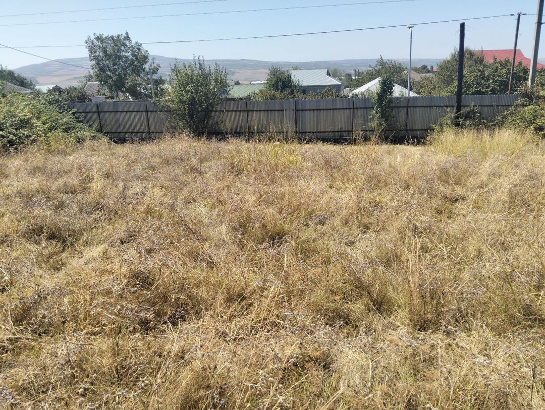 6 sot torpaq sahəsi, İsmayıllı r — Torpaq, İsmayıllı (5)