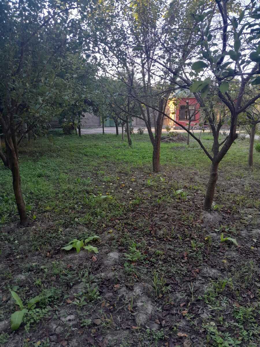 Bağ evi, Nabran r — Ev, villa (3)
