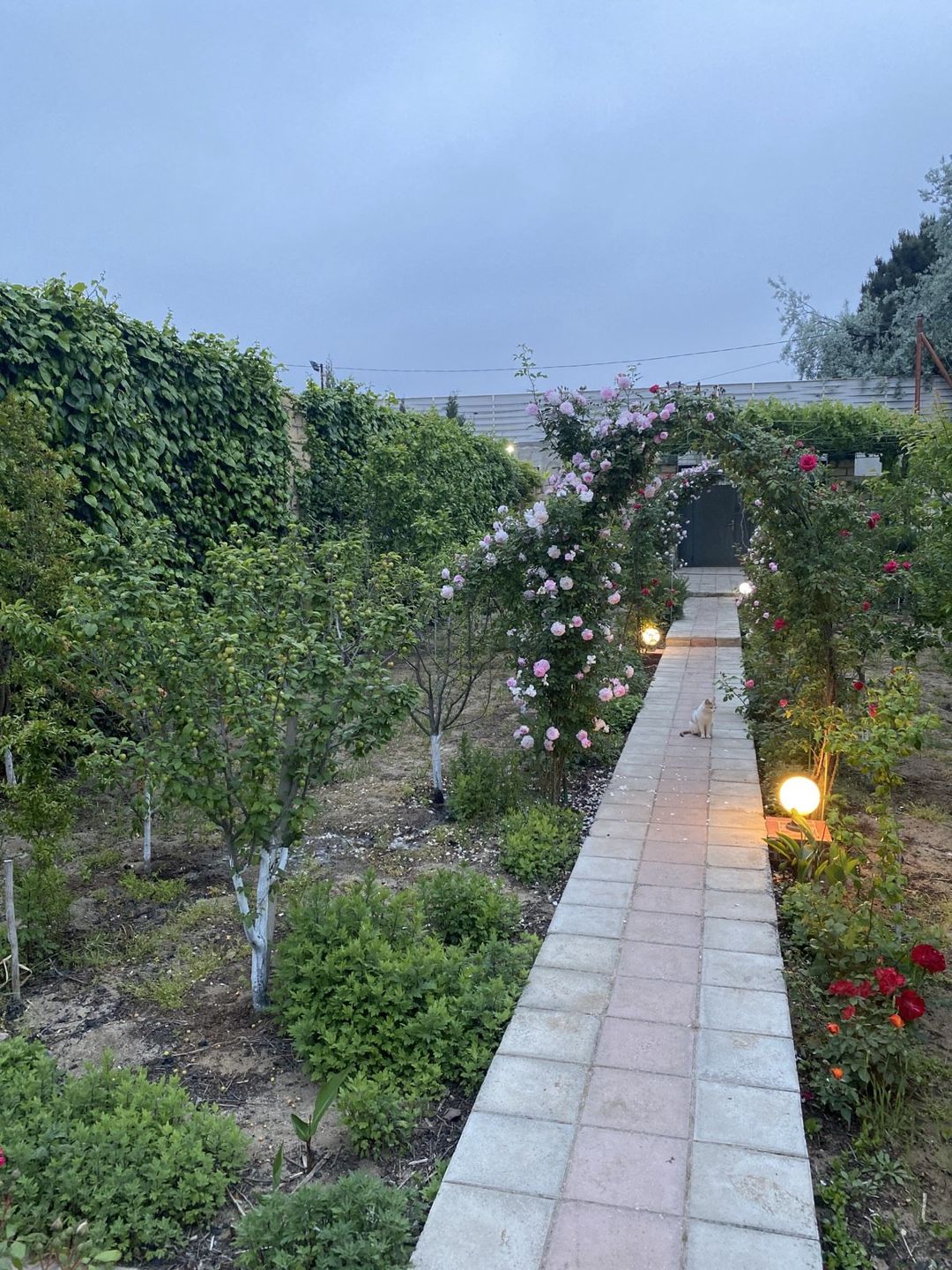Satılır 3 otaqlı həyət evi/bağ evi 100 m² — Ev, villa, Bakı (3)