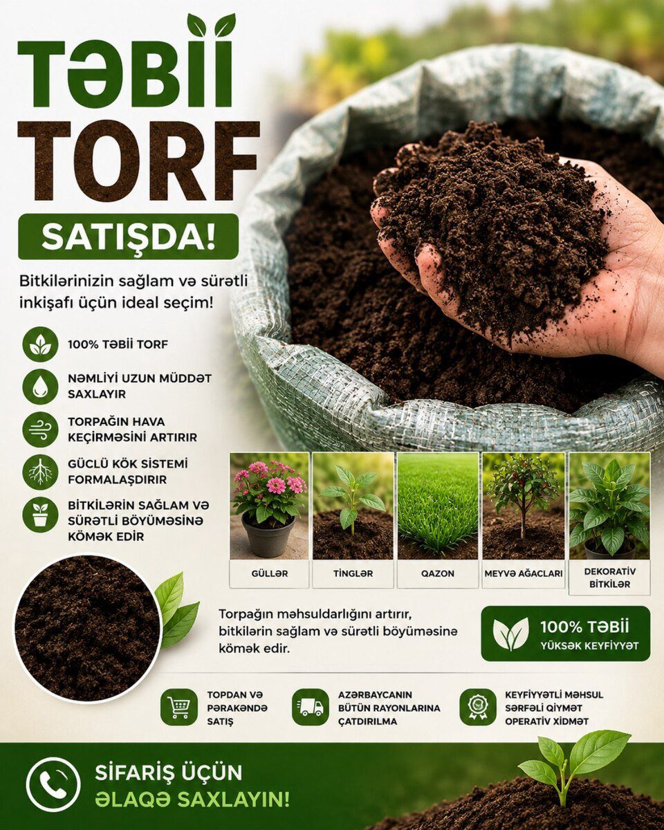 Torf — Dacha və bağ, Bakı (5)
