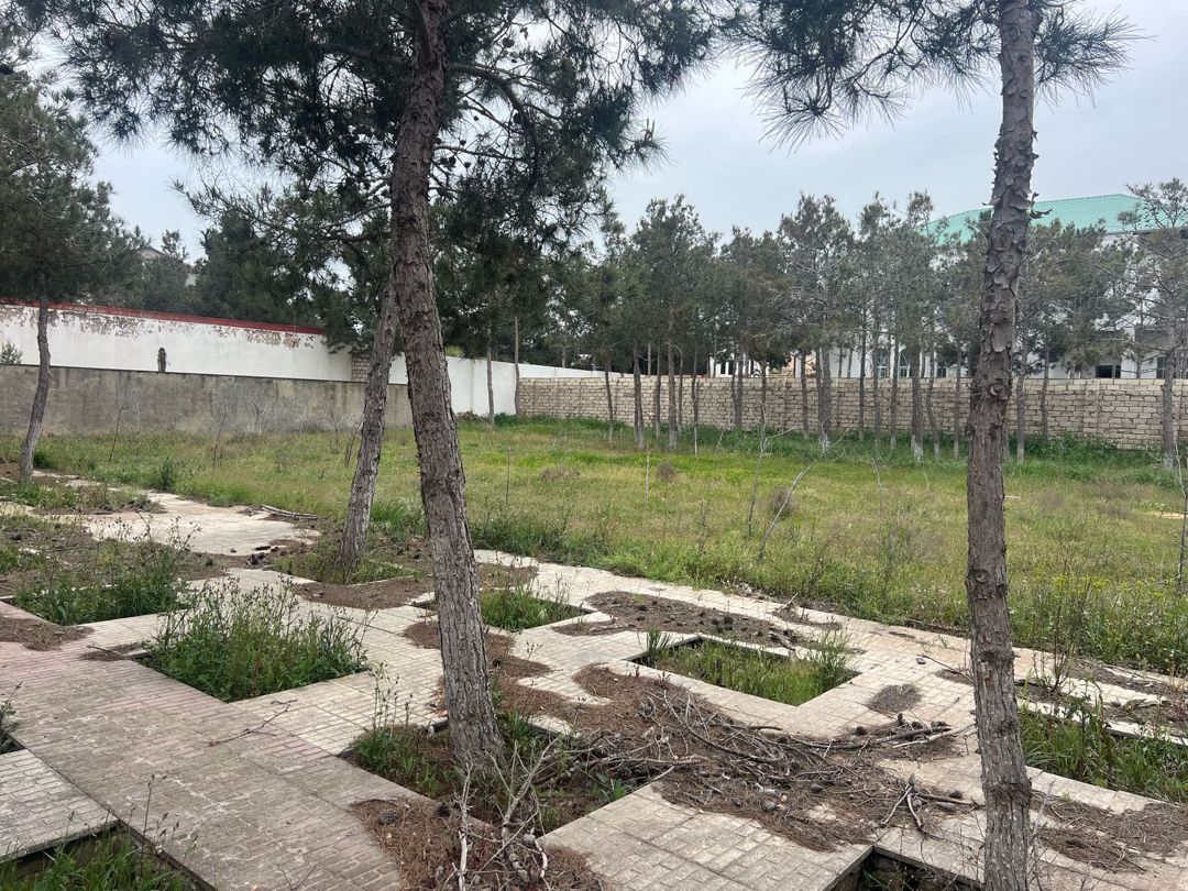 Satılır torpaq 10 sot — Torpaq, Bakı (5)