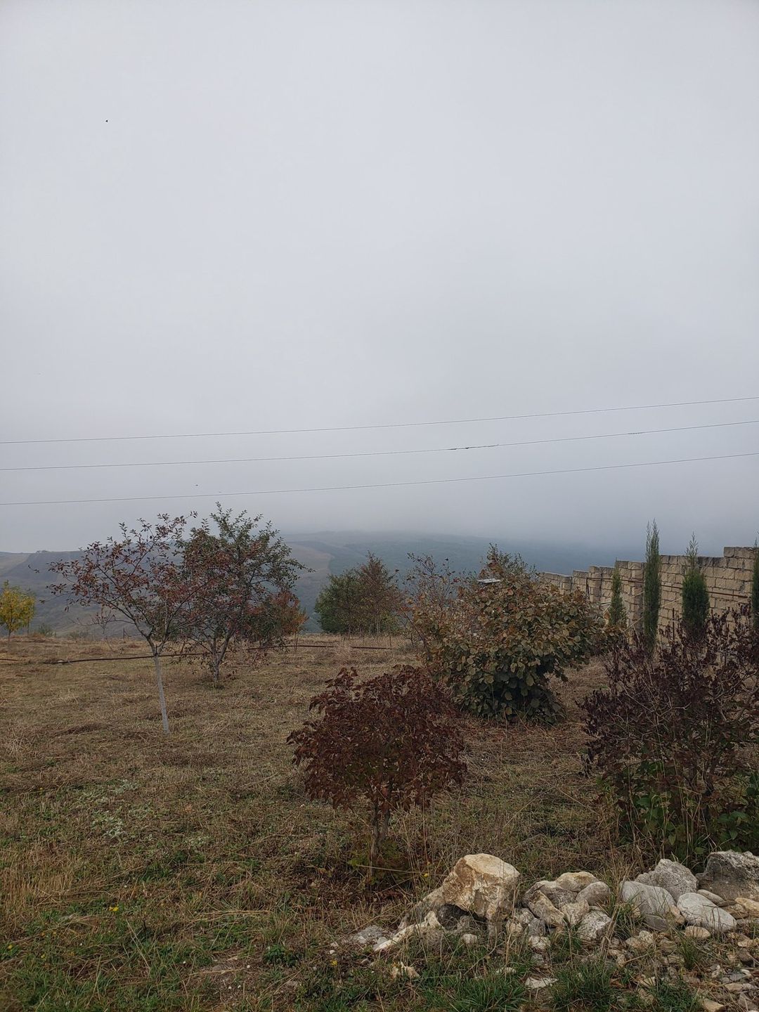 Satılır torpaq 30 sot — Torpaq, Şamaxı (10)