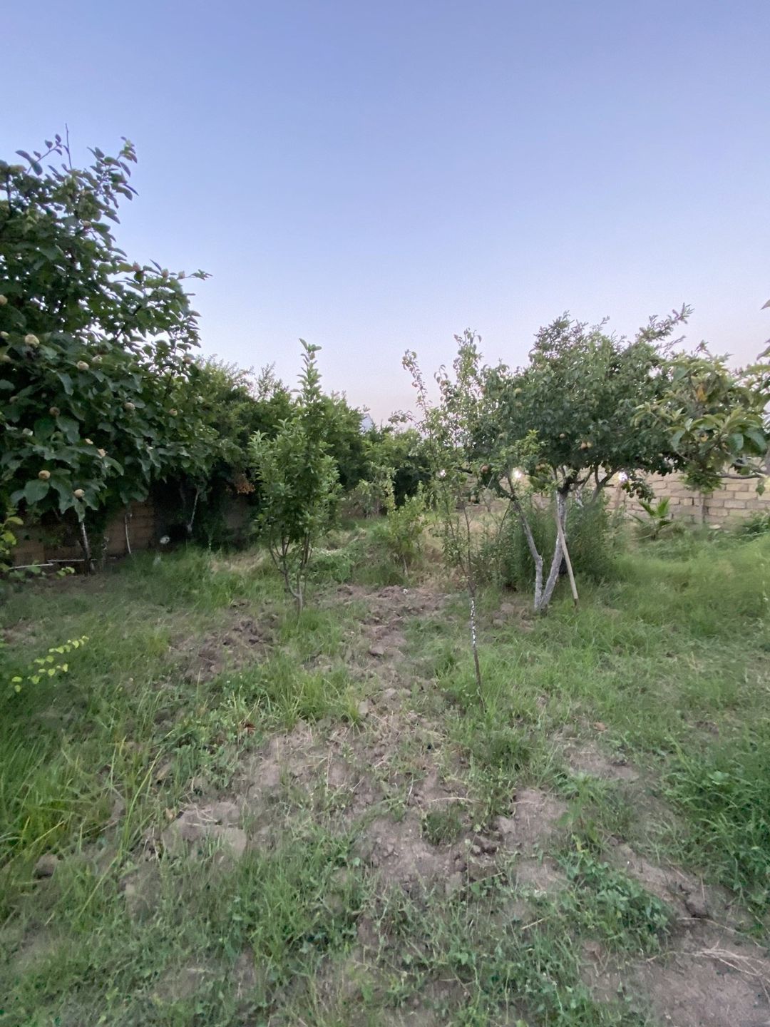 Satılır 3 otaqlı həyət evi/bağ evi 110 m² — Ev, villa, Bakı (9)