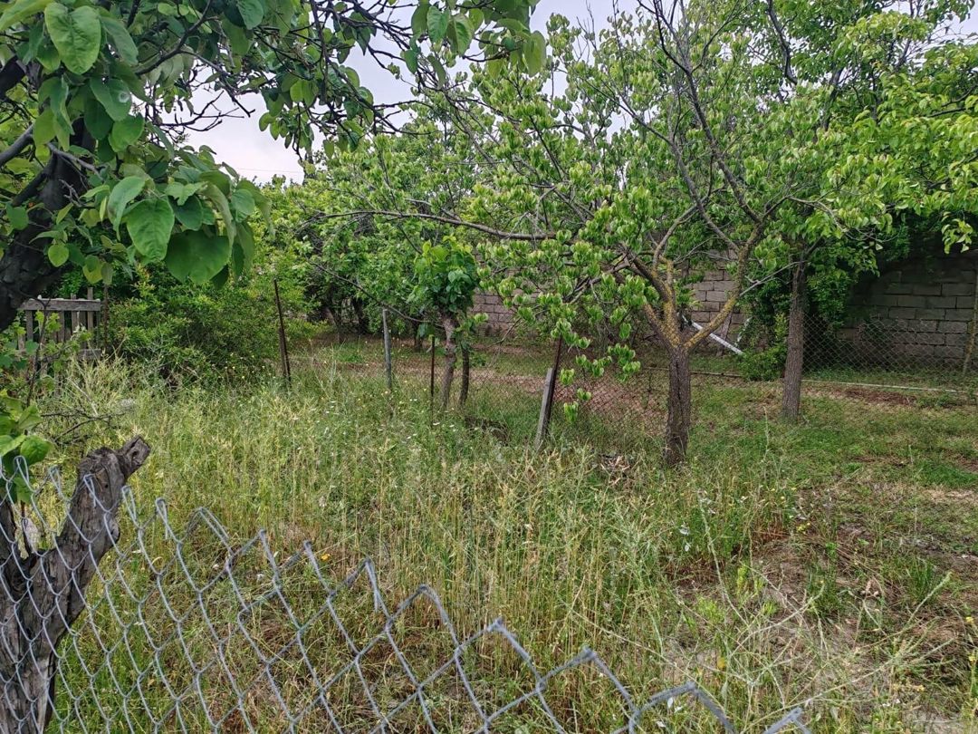 22 sot torpaq sahəsi, Novxanı qəs — Torpaq, Bakı (4)