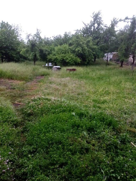 Həyət evi, Lənkəran ş — Ev, villa, Lənkəran (6)