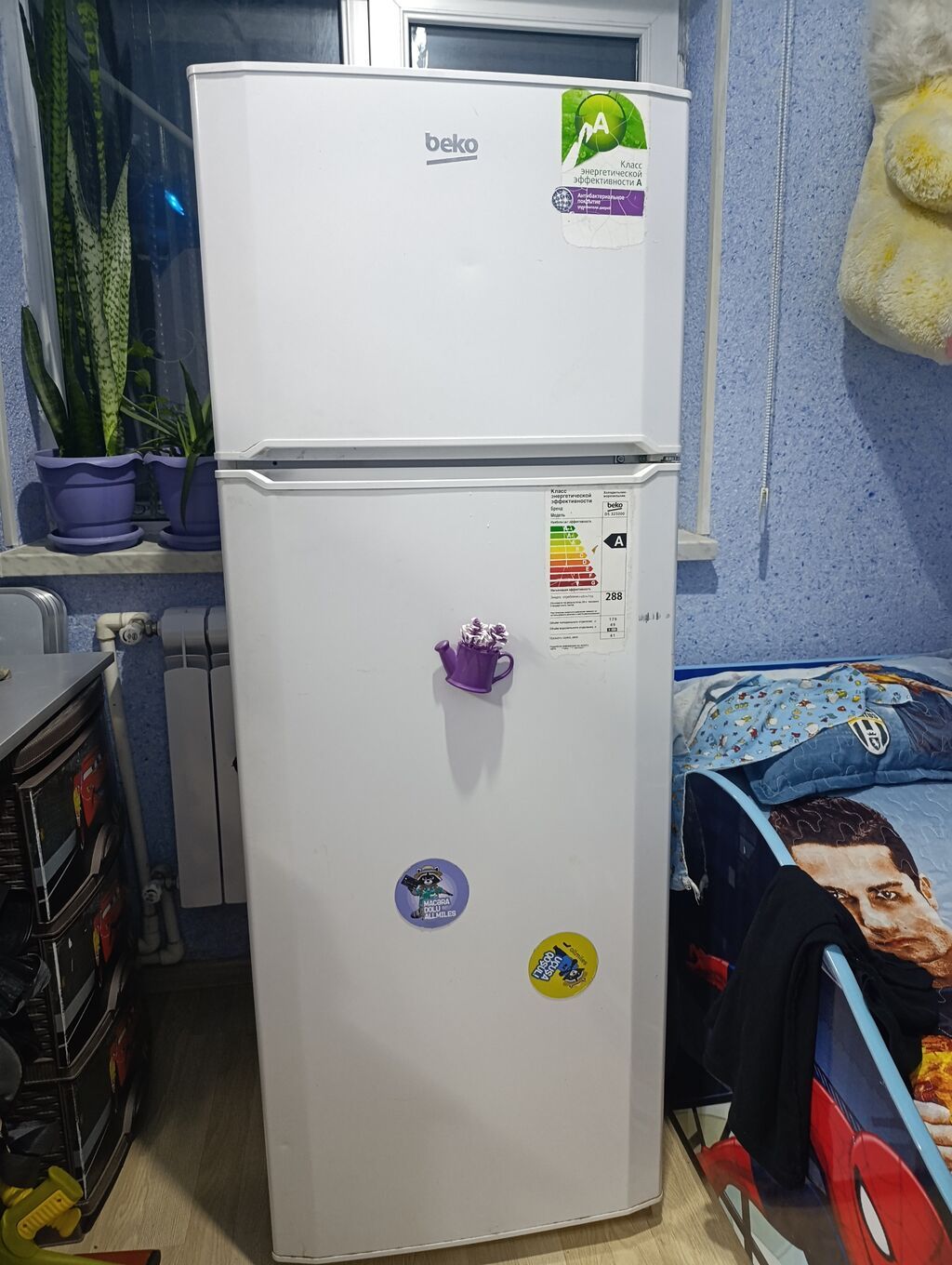 Beko ikiqapılı soyuducu - Üst hissədə dondurucu bölmə, aşağıda — Soyuducular, Bakı (3)