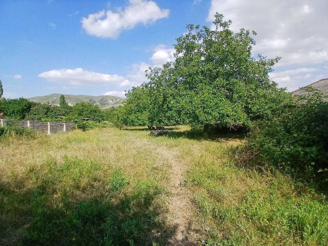 25 sot torpaq sahəsi, Şamaxı r — Torpaq, Şamaxı (4)