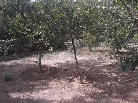 Satılır torpaq 23 sot — Bakı
