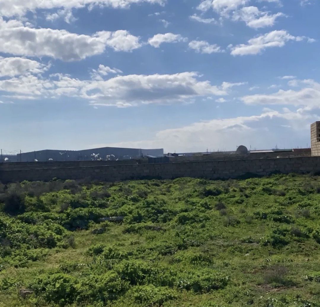 Satılır torpaq 6 sot — Torpaq, Bakı