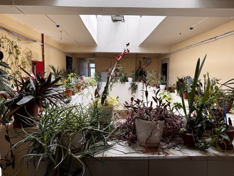 Satılır 2 otaqlı yeni tikili 90 m² — Bakı