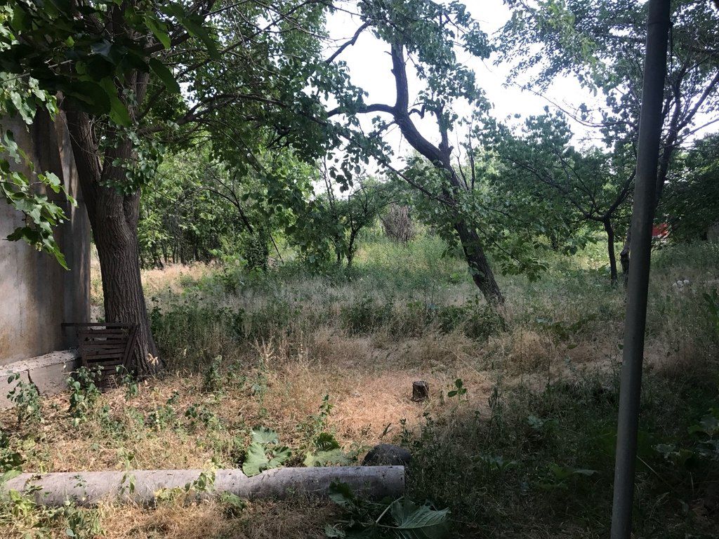 40 sot torpaq sahəsi, Naxçıvan ş — Torpaq, Naxçıvan (6)