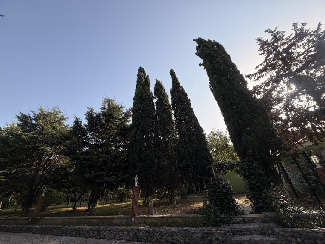 Satılır torpaq 15 sot — Torpaq, Bakı (4)