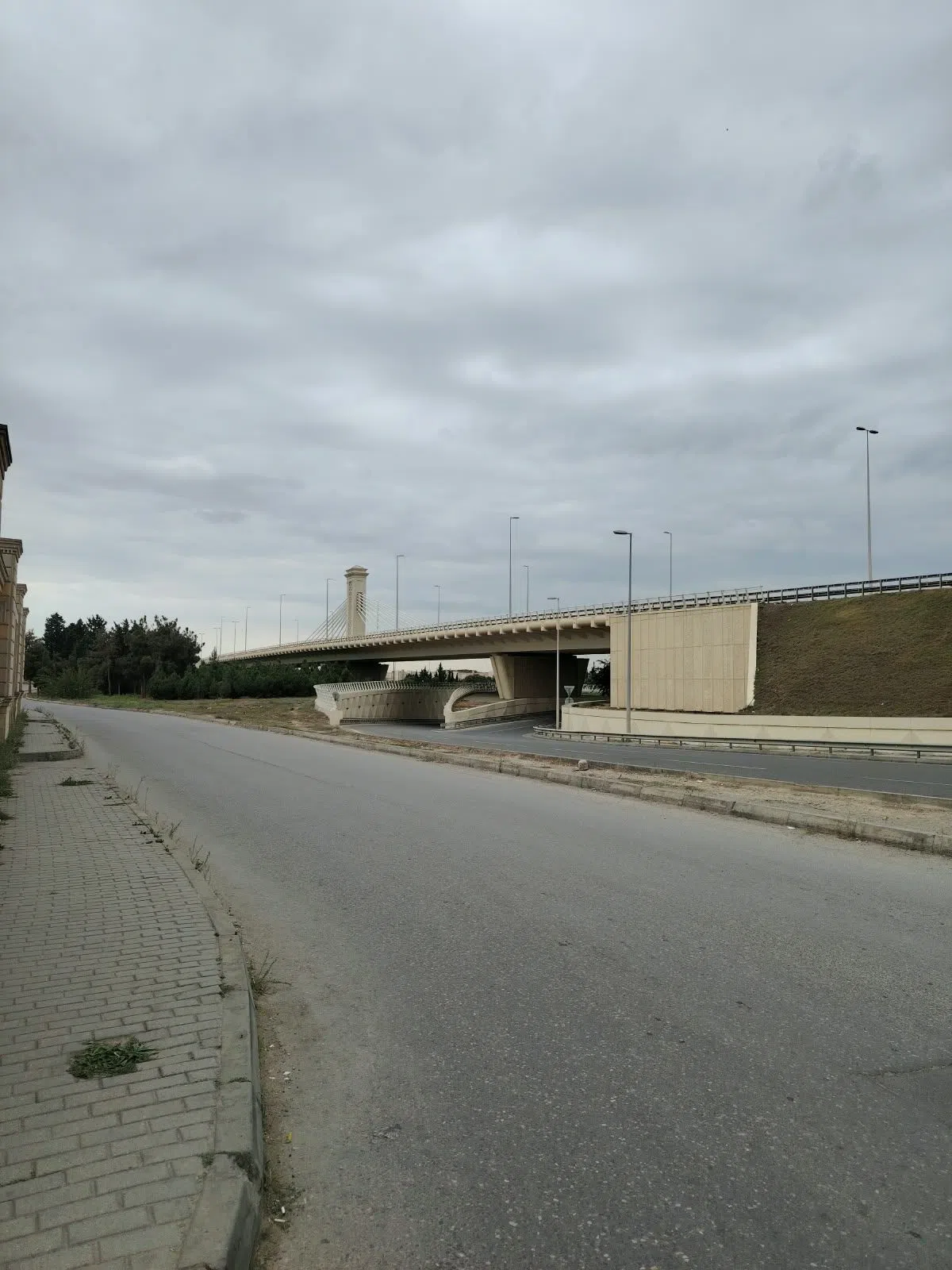 15 sot torpaq sahəsi satılır — Bakı