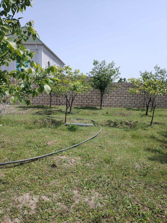 11.5 sot torpaq sahəsi, Bərdə r — Torpaq, Bərdə (6)