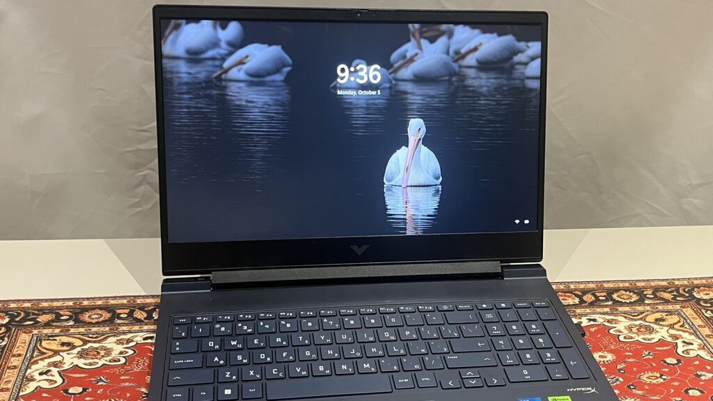 İşlənmiş HP Victus, 15.6 Intel Core i5, 512 GB, Ünvandan götürmə — HP, Bakı (6)
